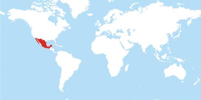 வரைபடம் மெக்ஸிக்கோ உலக